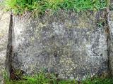 image of grave number 292421